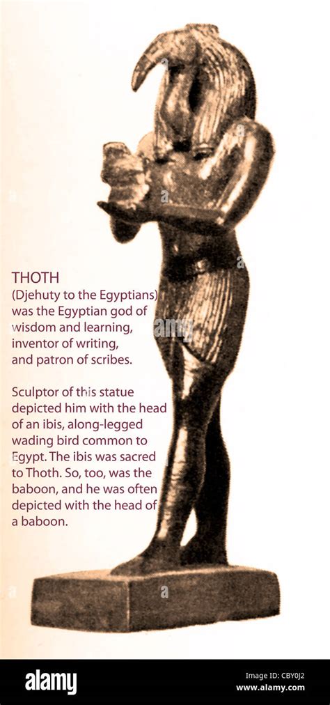 thothyv|Thoth, der ägyptische Ibis